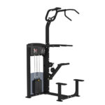 WEIGHT ASSISTED CHIN/DIP COMBO / 06300-120